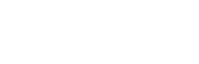 The Village Logo White