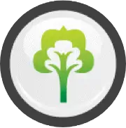 Environmental wellness