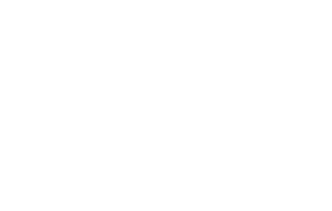The Village at The Woodlands Waterway Logo version 2